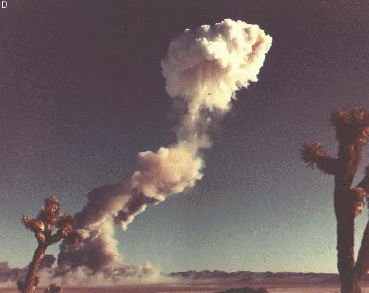 Dog Detonation
