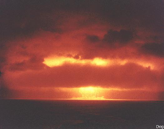 Dog Detonation